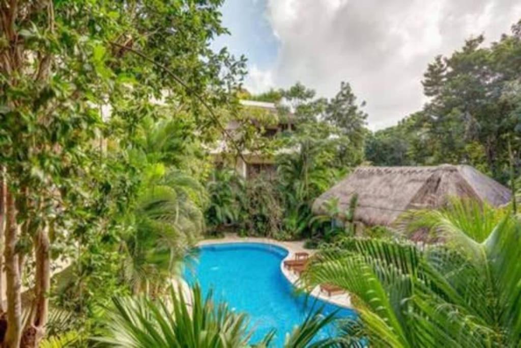 Condo Complex With An Alluring Pool & Tropical Vibes By Stella Rentals! Tulum Exterior foto